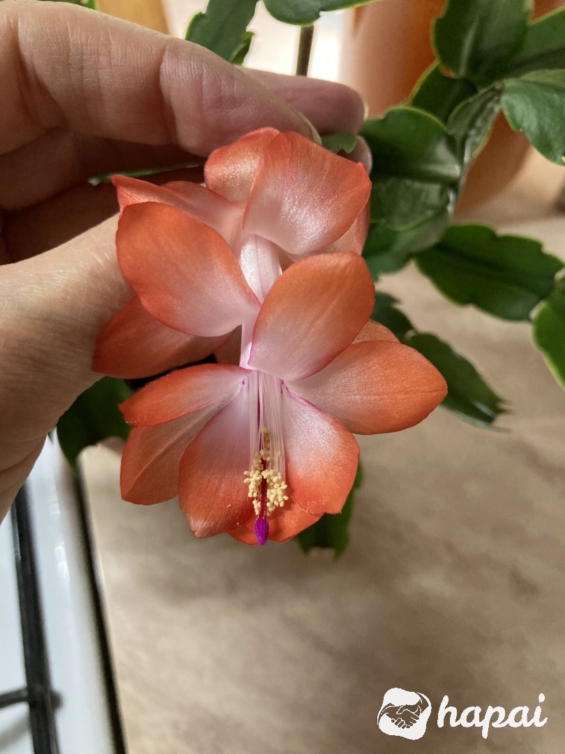 Фото 4