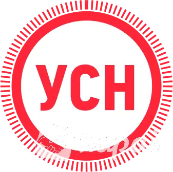 Бух. услуги для ООО/ЧУП на УСН. Налоговые консультации. Дивиденды