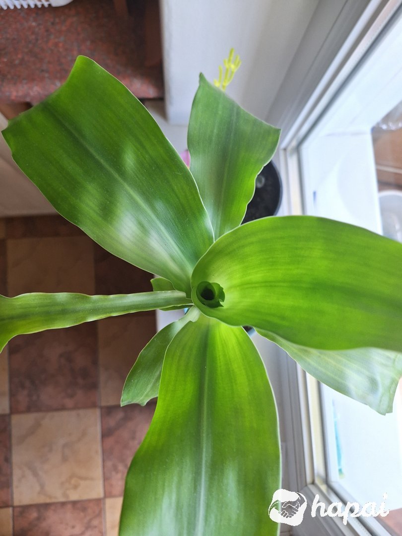 Фото 4