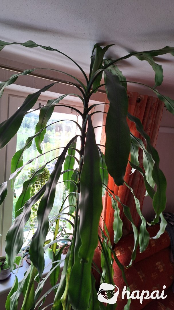Фото 6