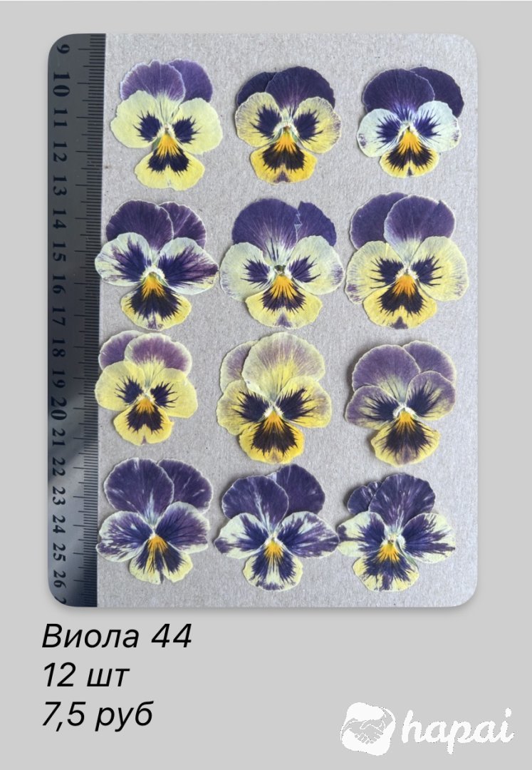 Фото 9