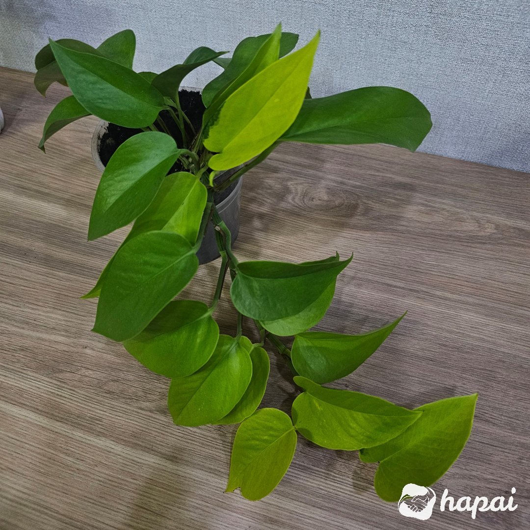 Фото 3