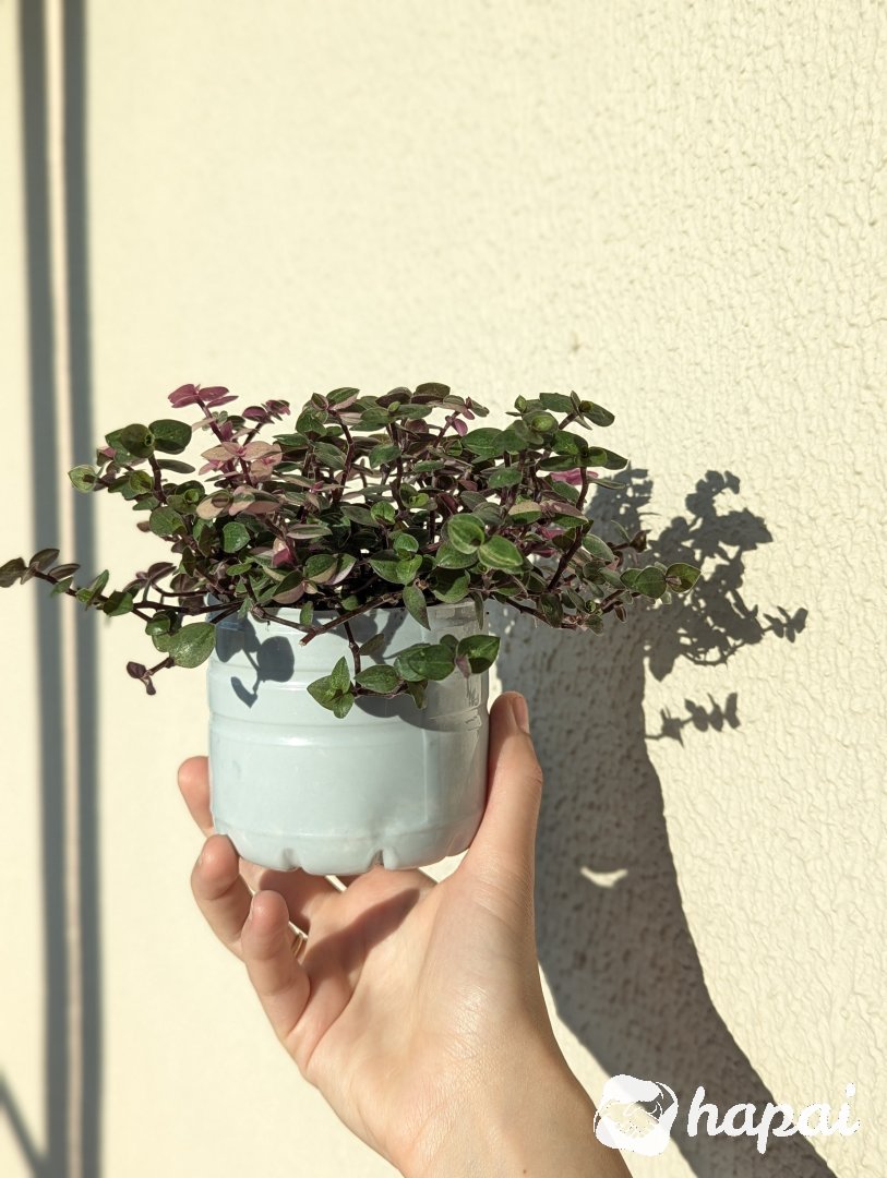 Фото 2