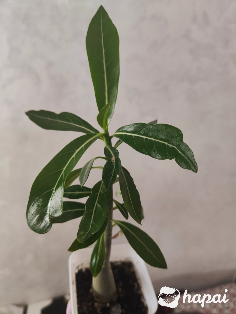 Фото 2