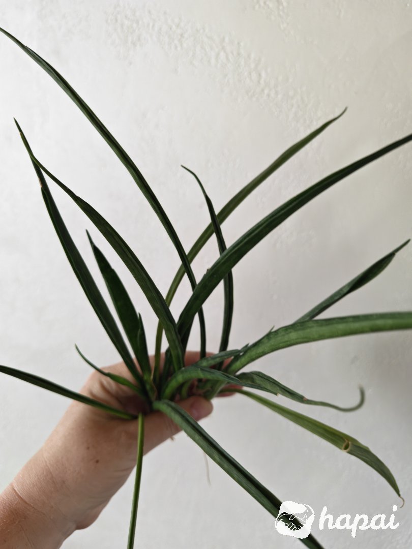Фото 6