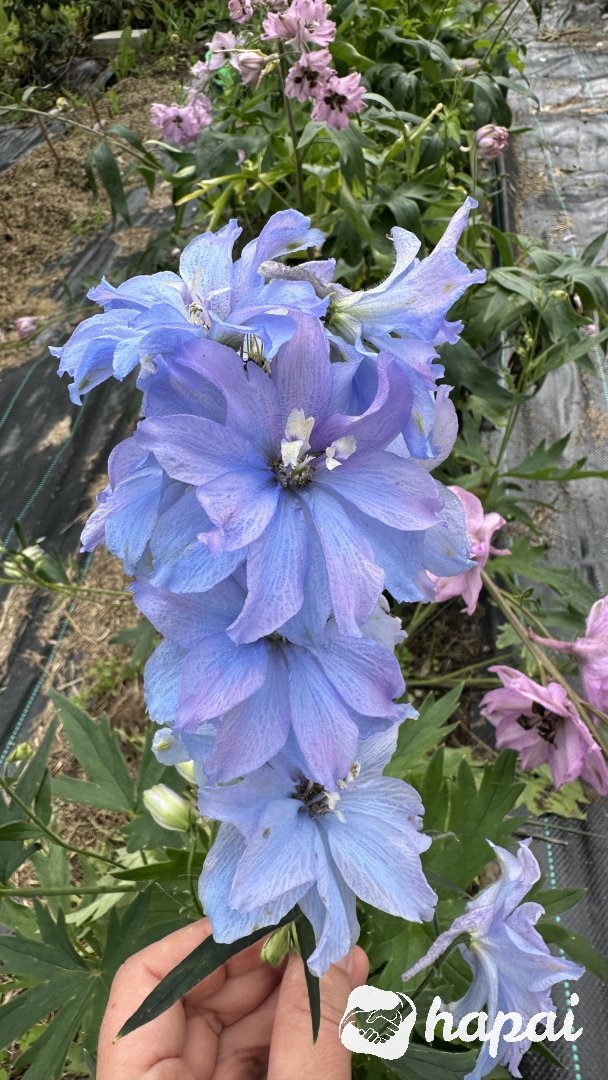 Фото 2