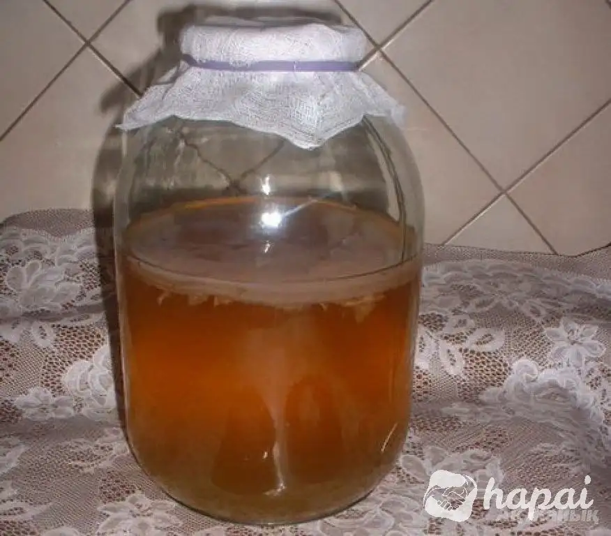 Чайный гриб