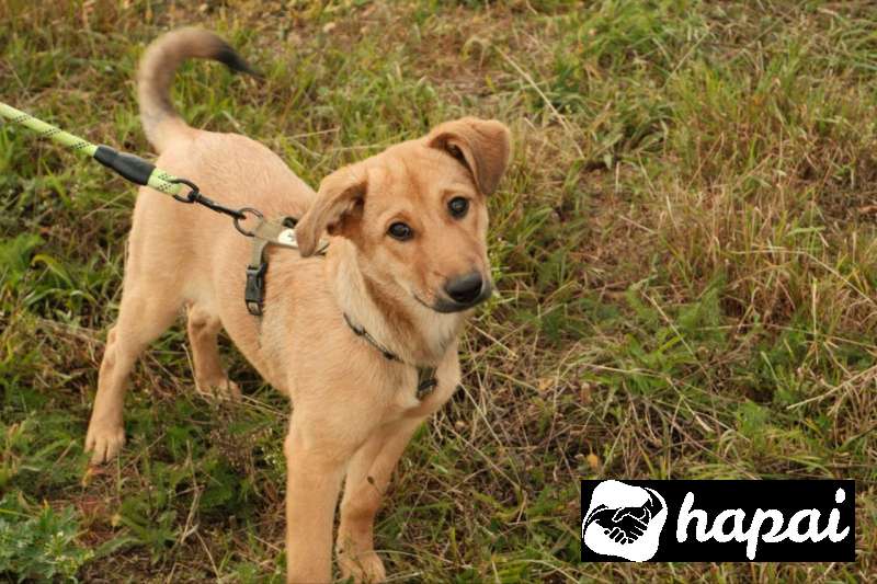 Фото 12