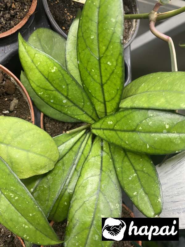 Фото 5