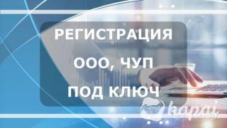 Регистрация ООО/ЧУП. Бесшовный переход ИП в ЮЛ