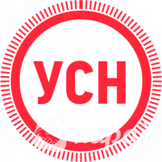 Бух. услуги для ООО/ЧУП на УСН. Налоговые консультации. Дивиденды