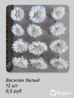 Сухоцветы васильки