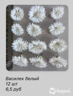 Сухоцветы васильки