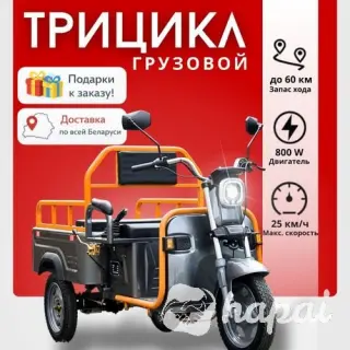 Электротрицикл AVM Cargo mini 800