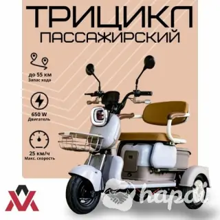 Пассажирский электротрицикл AVM City 650