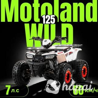 Квадроцикл ATV Motoland Wild 125 без ПТС (к-т з/ч)