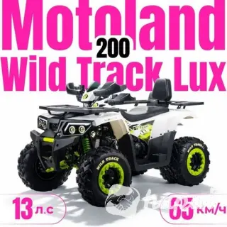 Квадроцикл ATV Motoland 200 Wild Track Lux без ПТС (к-т з/ч)