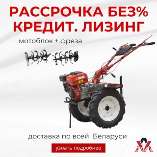 Мотоблок ASILAK SL-84l (8 л.с., пониженная передача, колеса 5х12, бардачок)