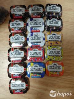 Коробочки SCANDIC