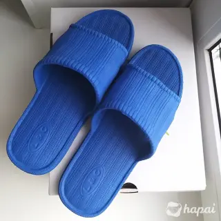 Сланцы (шлепанцы)