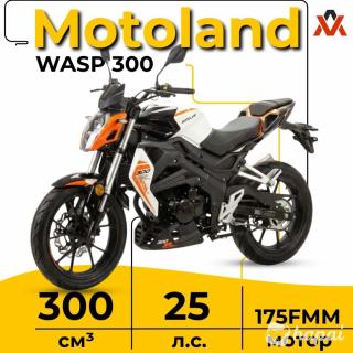 Мотоцикл дорожный Motoland WASP 300